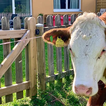 Promi-lodge - An Der Piste